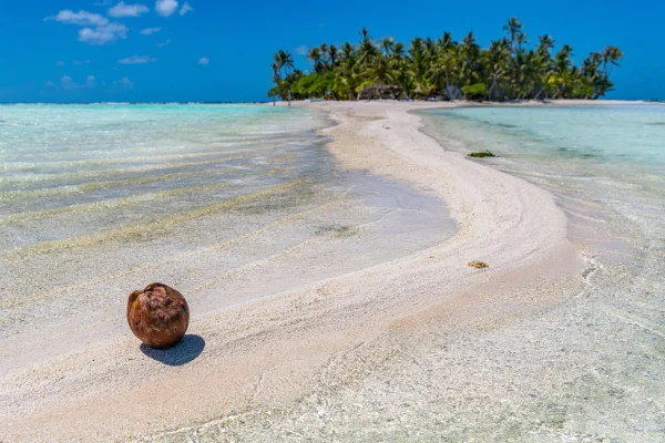 Plage de sable rose a Rangiroa © Michael Runkel